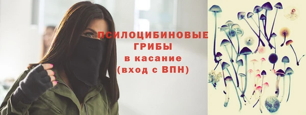 PSILOCYBIN Алексеевка