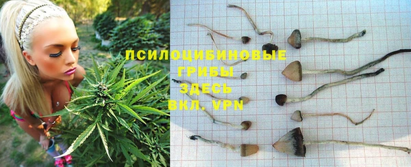 герыч Алзамай
