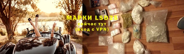 PSILOCYBIN Алексеевка