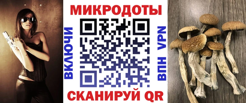 Псилоцибиновые грибы мицелий  darknet какой сайт  Кремёнки 